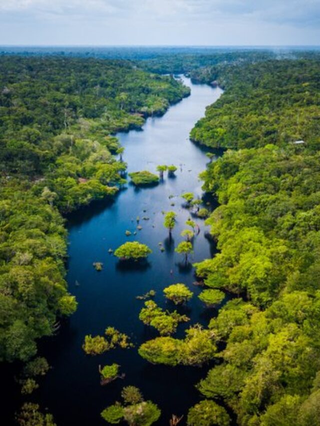um-ano-lancamento-itinerarios-amazonicos