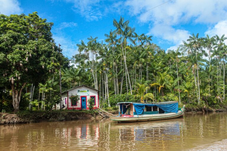 Imagem de uma casa na beira do rio e um barco em paisagem amazônica.