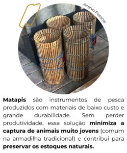 educação ambiental e ribeirinha no Pará professora Merian Nascimento protagonismo estudantil educação climática COP 30