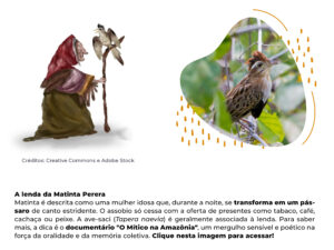 educação ambiental e ribeirinha no Pará professora Merian Nascimento protagonismo estudantil educação climática COP 30